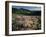 Lupine, Humboldt National Forest, Jarbridge Wilderness and Mountains, Nevada, USA-Scott T. Smith-Framed Photographic Print