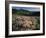 Lupine, Humboldt National Forest, Jarbridge Wilderness and Mountains, Nevada, USA-Scott T. Smith-Framed Photographic Print