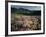 Lupine, Humboldt National Forest, Jarbridge Wilderness and Mountains, Nevada, USA-Scott T. Smith-Framed Photographic Print