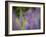 Lupine, Near Silver Bay, Northeastern Minnesota, Usa-Rob Sheppard-Framed Photographic Print