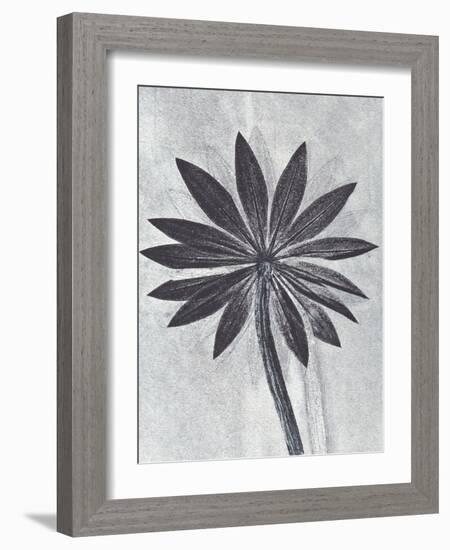 Lupine Smoke-Pernille Folcarelli-Framed Art Print
