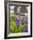 Lupines Bloom in Front of a Historic Fish Cannery in Lubec, Maine, Usa-Jerry & Marcy Monkman-Framed Photographic Print