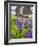 Lupines Bloom in Front of a Historic Fish Cannery in Lubec, Maine, Usa-Jerry & Marcy Monkman-Framed Photographic Print