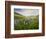 Lupines in Bloom and Rainbow After Rain, Bighorn Mountains, Wyoming, USA-Larry Ditto-Framed Photographic Print