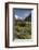 Lupins and Mount Cook, Mount Cook Village, Mount Cook National Park-Stuart Black-Framed Photographic Print