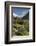 Lupins and Mount Cook, Mount Cook Village, Mount Cook National Park-Stuart Black-Framed Photographic Print