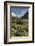 Lupins and Mount Cook, Mount Cook Village, Mount Cook National Park-Stuart Black-Framed Photographic Print