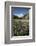 Lupins and Mount Cook, Mount Cook Village, Mount Cook National Park-Stuart Black-Framed Photographic Print