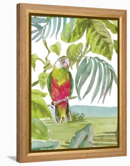 Luquillo Parrot-Sandra Jacobs-Framed Stretched Canvas