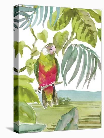 Luquillo Parrot-Sandra Jacobs-Framed Stretched Canvas