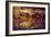 Luray Caverns, Virginia-RR-Framed Photographic Print