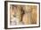 Luray Caverns, Virginia-RR-Framed Photographic Print