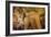 Luray Caverns, Virginia-RR-Framed Photographic Print