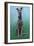 Lurcher Jaeger-Karie-Ann Cooper-Framed Giclee Print