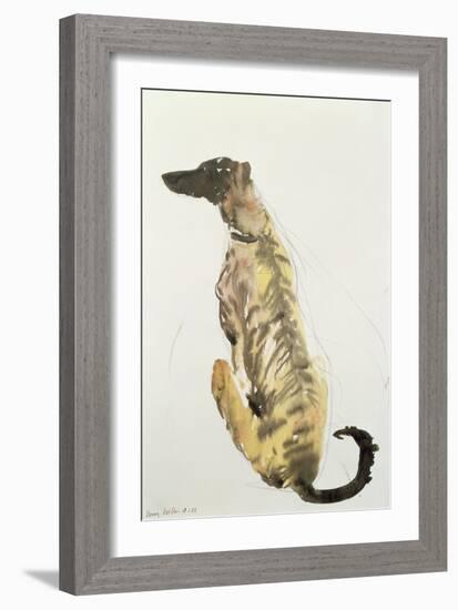 Lurcher Sitting, 1988-Lucy Willis-Framed Giclee Print