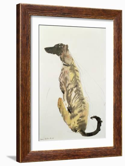 Lurcher Sitting, 1988-Lucy Willis-Framed Giclee Print