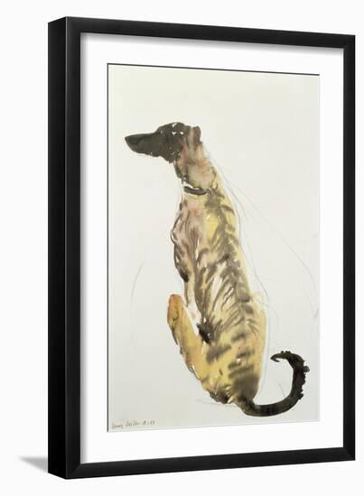 Lurcher Sitting, 1988-Lucy Willis-Framed Giclee Print