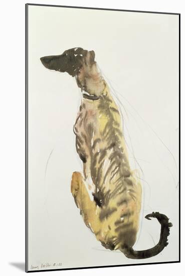 Lurcher Sitting, 1988-Lucy Willis-Mounted Giclee Print