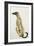 Lurcher Sitting, 1988-Lucy Willis-Framed Giclee Print