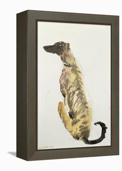 Lurcher Sitting, 1988-Lucy Willis-Framed Premier Image Canvas