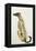 Lurcher Sitting, 1988-Lucy Willis-Framed Premier Image Canvas