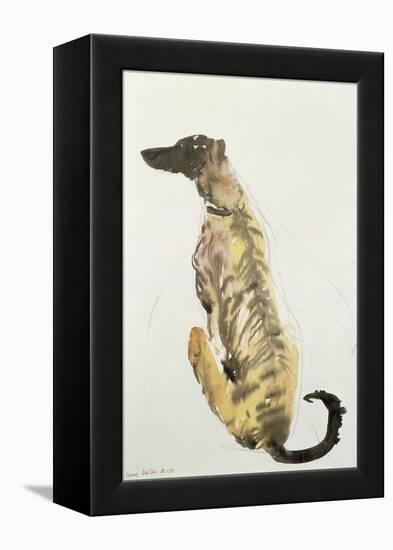 Lurcher Sitting, 1988-Lucy Willis-Framed Premier Image Canvas