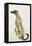 Lurcher Sitting, 1988-Lucy Willis-Framed Premier Image Canvas