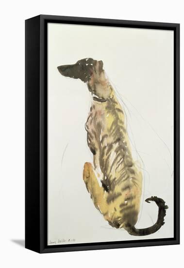 Lurcher Sitting, 1988-Lucy Willis-Framed Premier Image Canvas