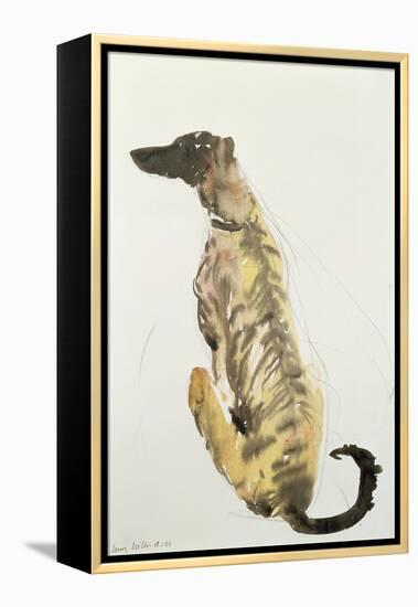 Lurcher Sitting, 1988-Lucy Willis-Framed Premier Image Canvas