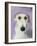 Lurcher-Sally Muir-Framed Giclee Print