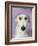 Lurcher-Sally Muir-Framed Giclee Print