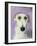 Lurcher-Sally Muir-Framed Giclee Print