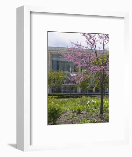 Lurie Garden and Art Institute of Chicago, Millennium Park, Chicago, Illinois, USA-Amanda Hall-Framed Photographic Print