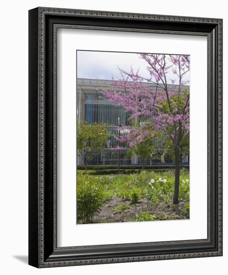 Lurie Garden and Art Institute of Chicago, Millennium Park, Chicago, Illinois, USA-Amanda Hall-Framed Photographic Print