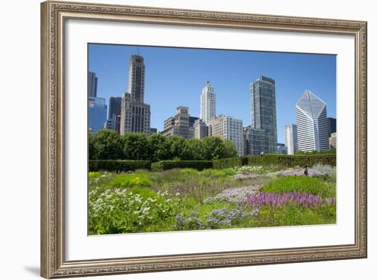 Lurie Garden in Millennium Park, Chicago, with Michigan Avenue Skyline-Alan Klehr-Framed Photographic Print