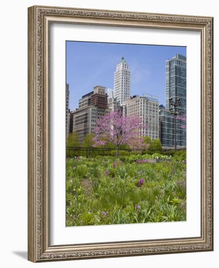 Lurie Garden, Millennium Park, Chicago, Illinois, United States of America, North America-Amanda Hall-Framed Photographic Print