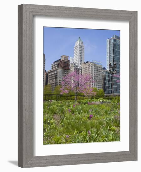 Lurie Garden, Millennium Park, Chicago, Illinois, United States of America, North America-Amanda Hall-Framed Photographic Print