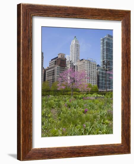 Lurie Garden, Millennium Park, Chicago, Illinois, United States of America, North America-Amanda Hall-Framed Photographic Print