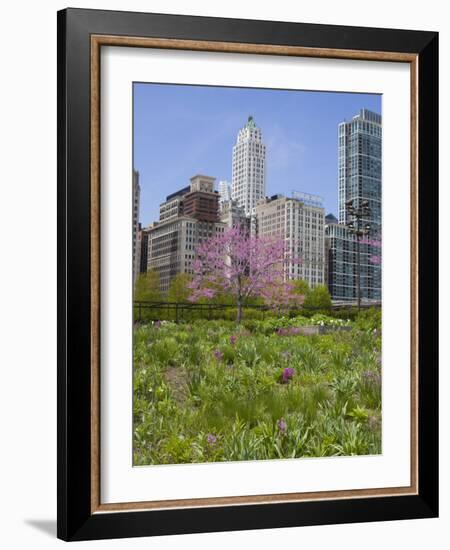 Lurie Garden, Millennium Park, Chicago, Illinois, United States of America, North America-Amanda Hall-Framed Photographic Print