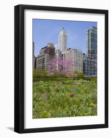 Lurie Garden, Millennium Park, Chicago, Illinois, United States of America, North America-Amanda Hall-Framed Photographic Print