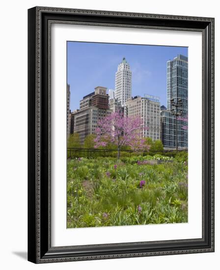 Lurie Garden, Millennium Park, Chicago, Illinois, United States of America, North America-Amanda Hall-Framed Photographic Print