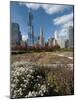 Lurie Garden with Skyline, Chicago Millennium Park, Chicago, Illinois, Usa-Alan Klehr-Mounted Photographic Print