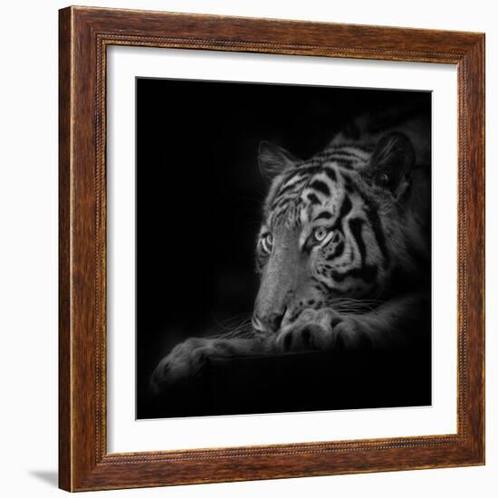 Lurking-Ruud Peters-Framed Premium Photographic Print