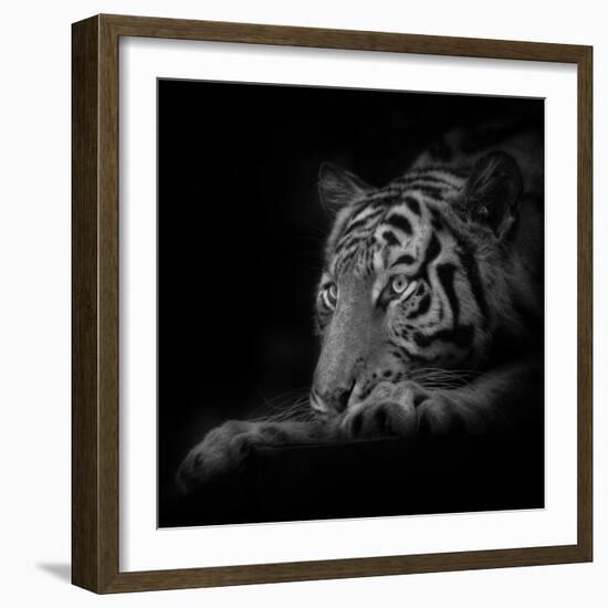 Lurking-Ruud Peters-Framed Photographic Print