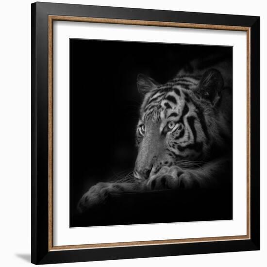 Lurking-Ruud Peters-Framed Photographic Print