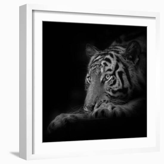 Lurking-Ruud Peters-Framed Photographic Print