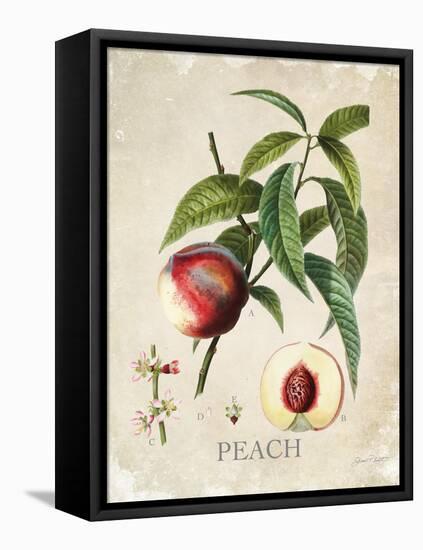 Luscious Fruit Study B-Jean Plout-Framed Premier Image Canvas