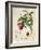 Luscious Fruit Study B-Jean Plout-Framed Giclee Print