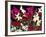 Luscious Lilies-Carissa Luminess-Framed Giclee Print