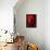 Luscious Red-Ruth Palmer 2-Framed Stretched Canvas displayed on a wall